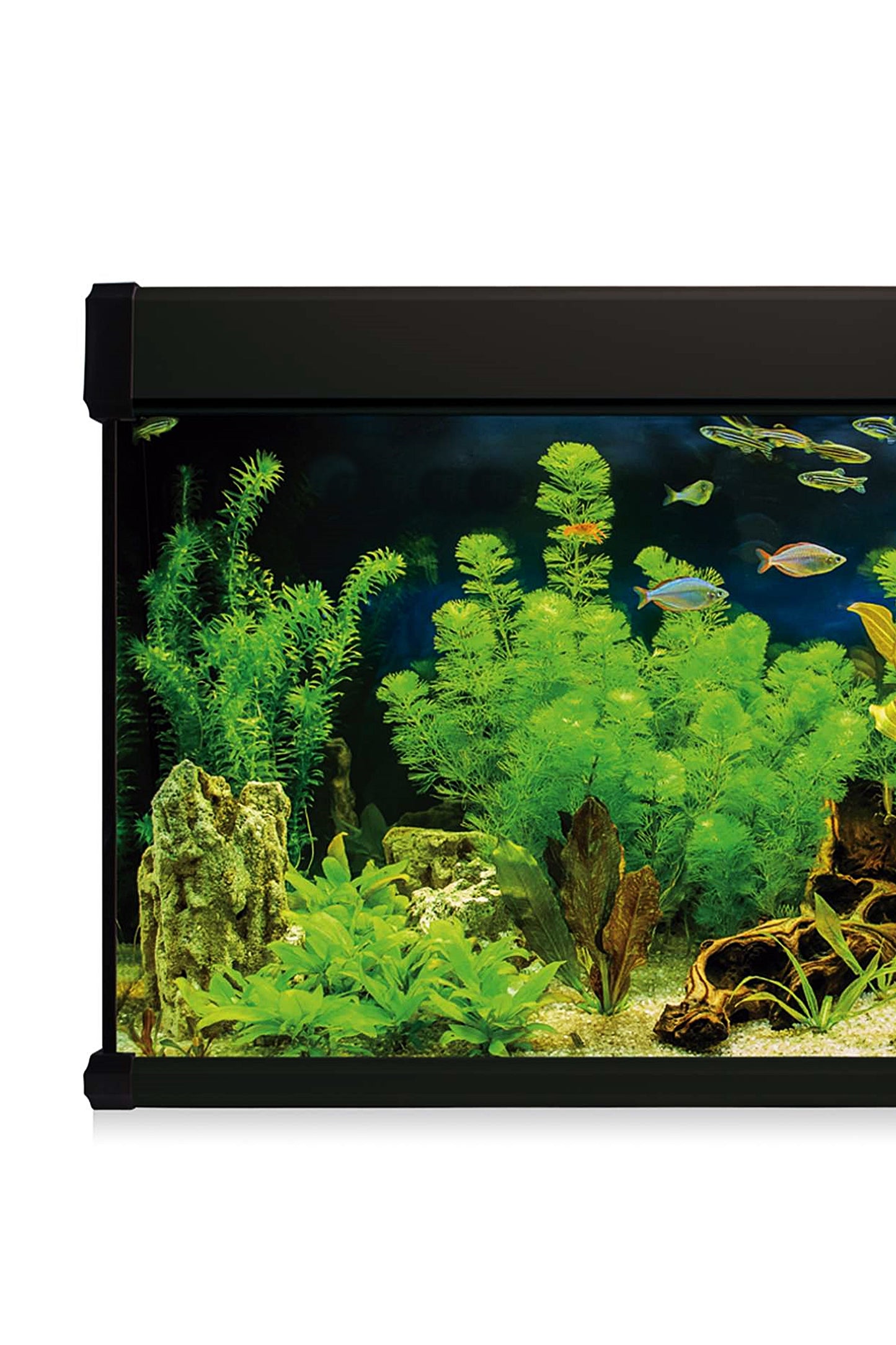 Kit AquaLUX PRO 120 - Acuario de 120 litros Negro