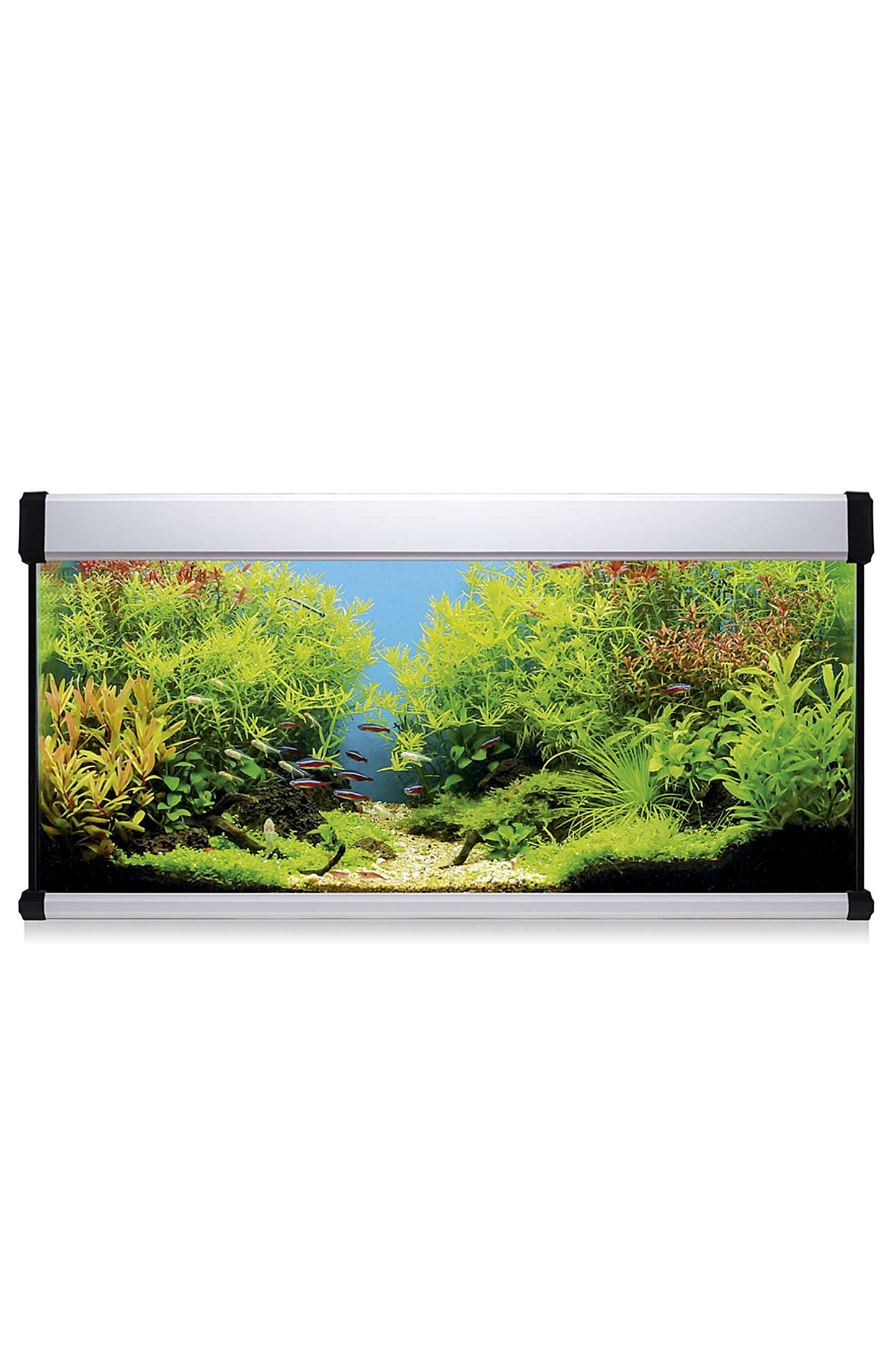 Kit AquaLUX PRO 130 - Acuario de 130 litros Blanco