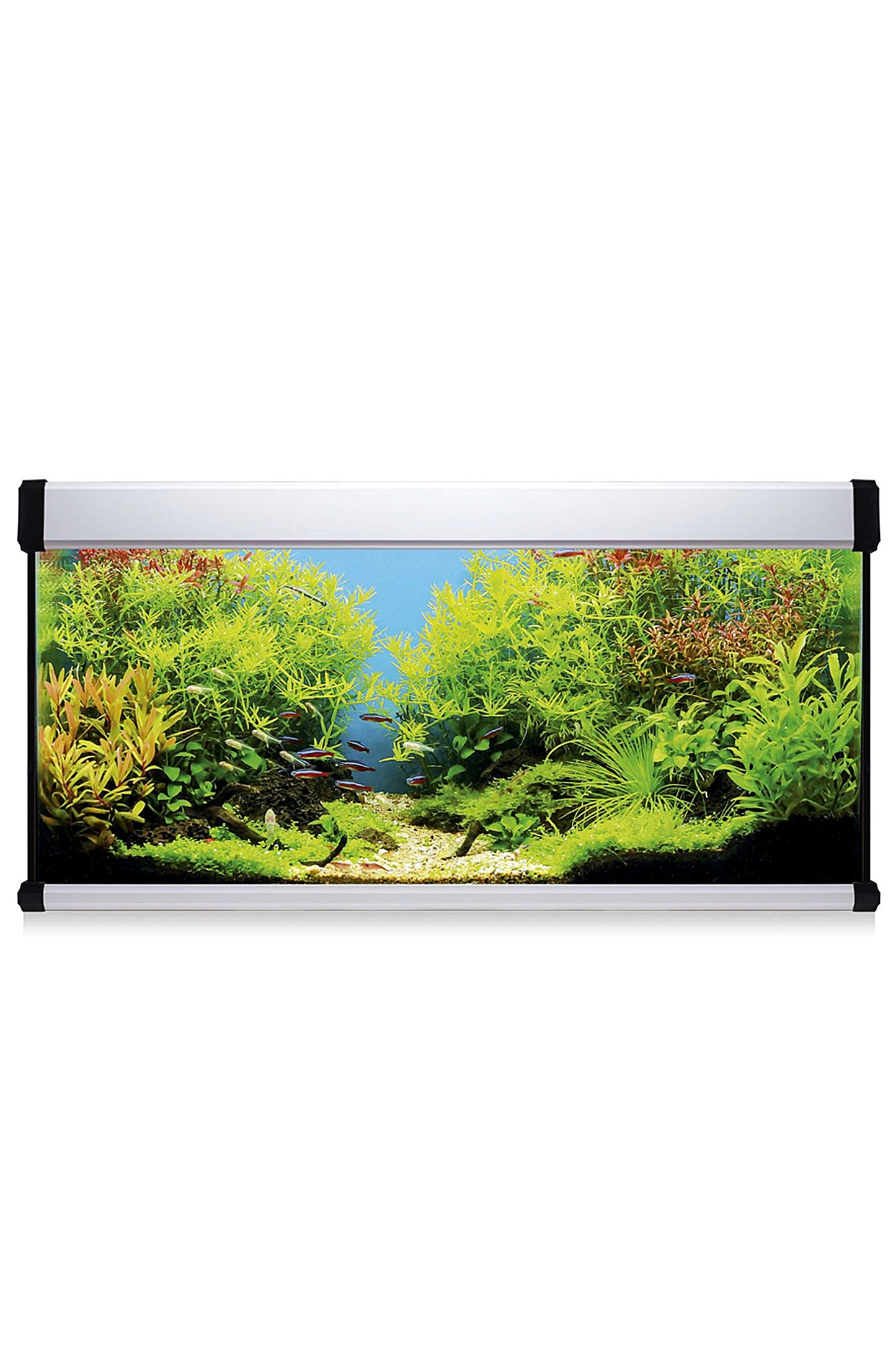 Kit AquaLUX PRO 168 - Acuario de 168 litros Blanco