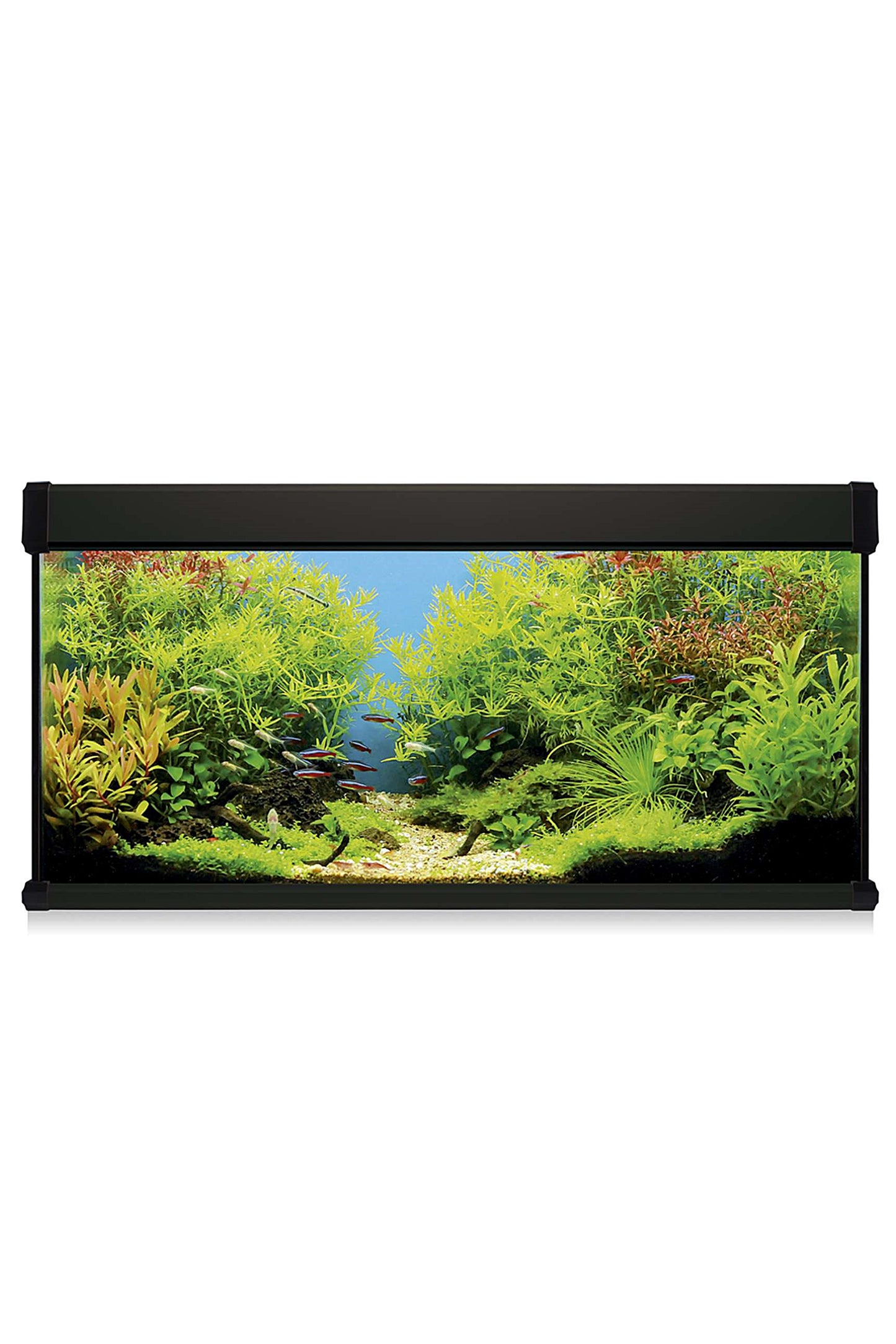 Kit AquaLUX PRO 168 - Acuario de 168 litros Negro