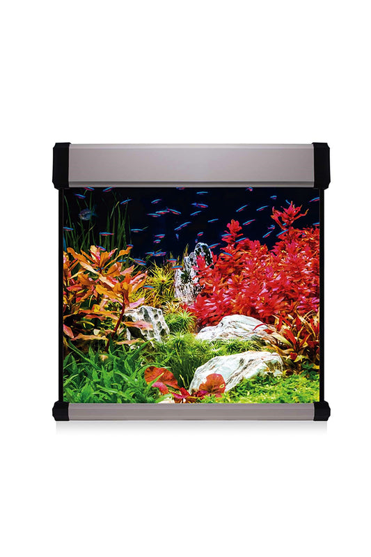 Kit AquaLUX PRO 190 - Acuario de 190 litros Plateado