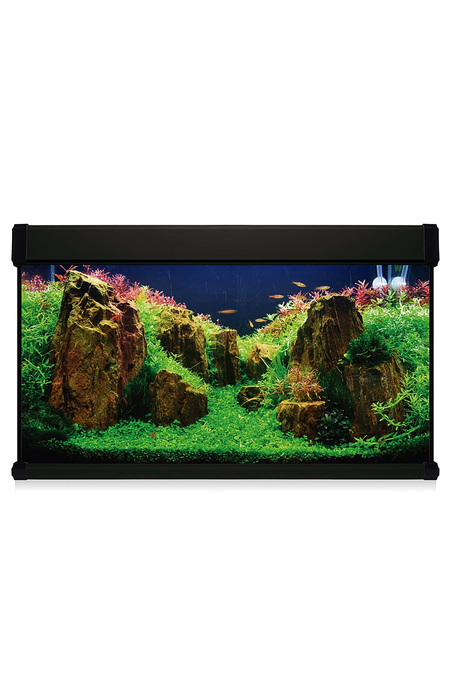 Kit AquaLUX PRO 200 - Acuario de 200 litros Negro