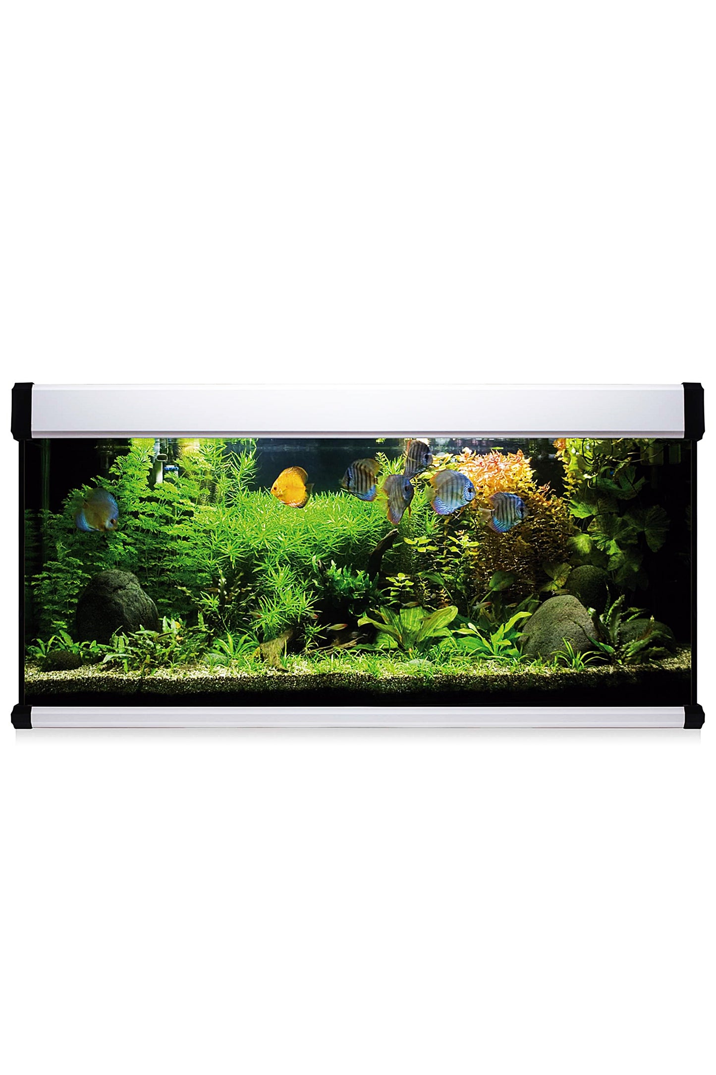 Kit AquaLUX PRO 240 - Acuario de 240 litros Blanco
