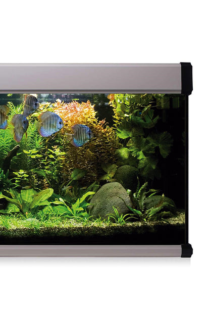 Kit AquaLUX PRO 240 - Acuario de 240 litros Plateado
