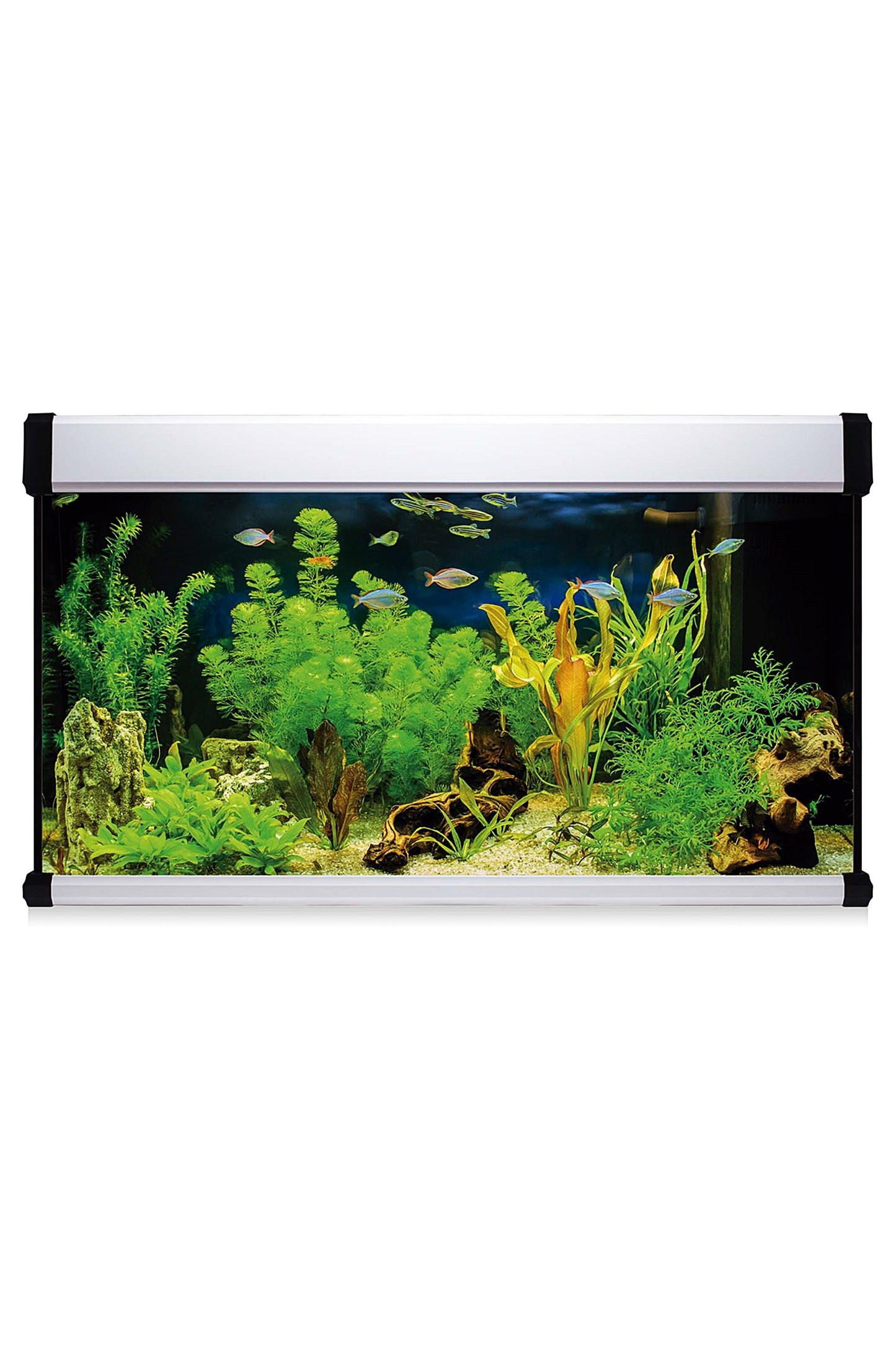Kit AquaLUX PRO 300 - Acuario de 300 litros Blanco