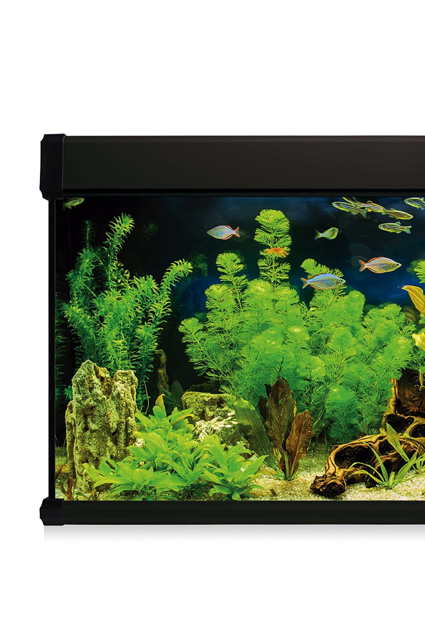 Kit AquaLUX PRO 300 - Acuario de 300 litros Negro