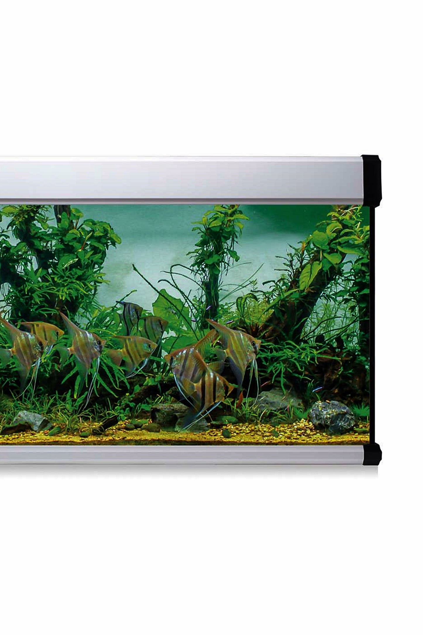 Kit AquaLUX PRO 450 - Acuario de 450 litros Blanco