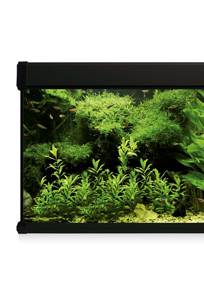 Kit AquaLUX PRO 600 - Acuario de 600 litros Negro