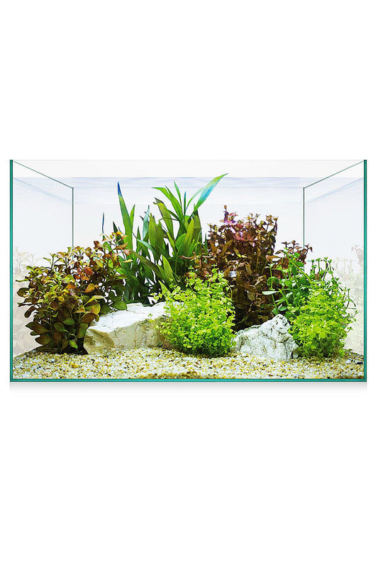 Acuario Kit AquaScape Basic 8 de 6,8 litros