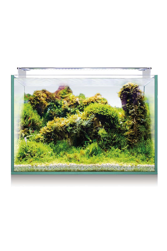 Acuario Kit AquaScape RGB 25 de 26 litros