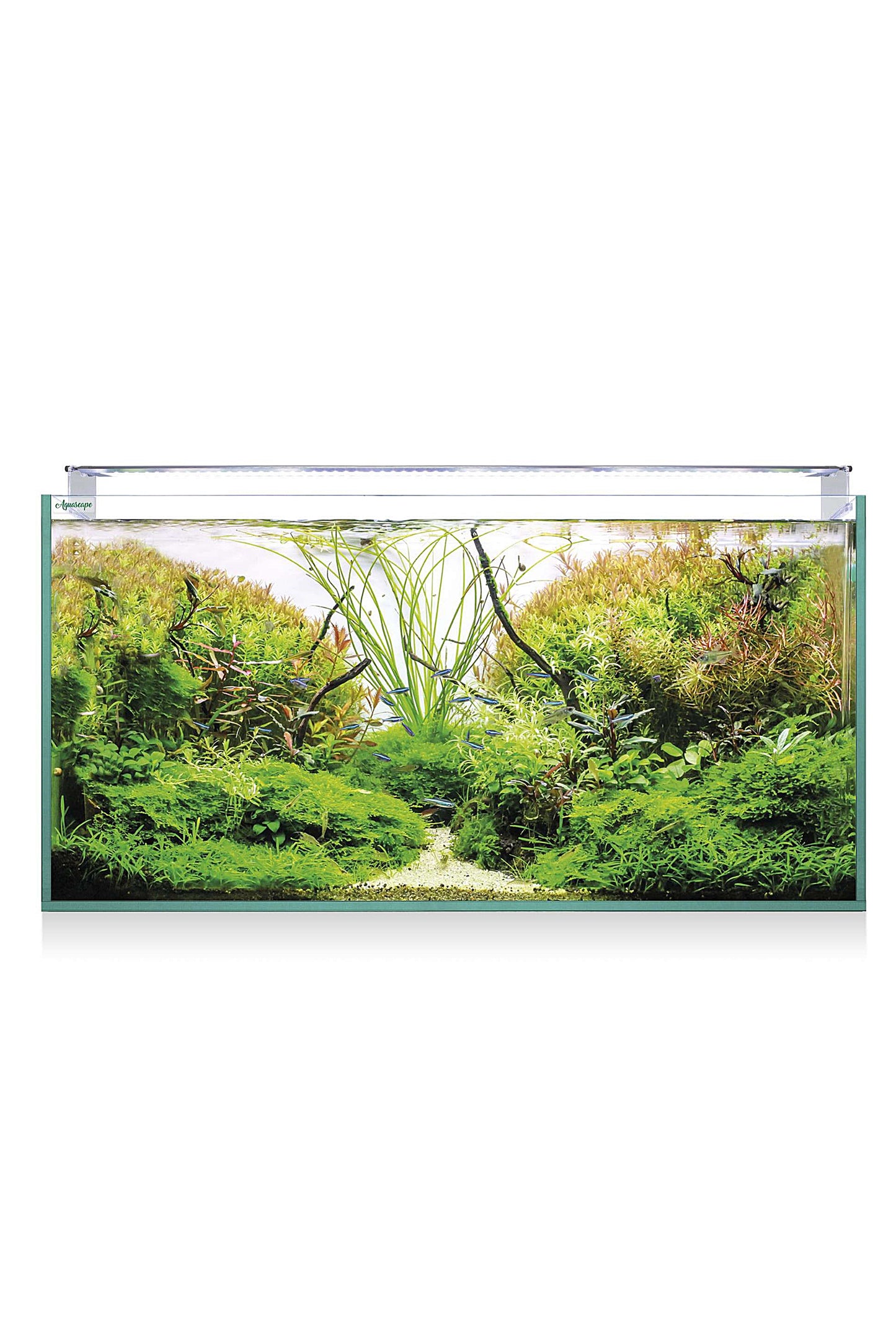 Acuario Kit AquaScape RGB PRO Extra Claro 250 de 226 litros