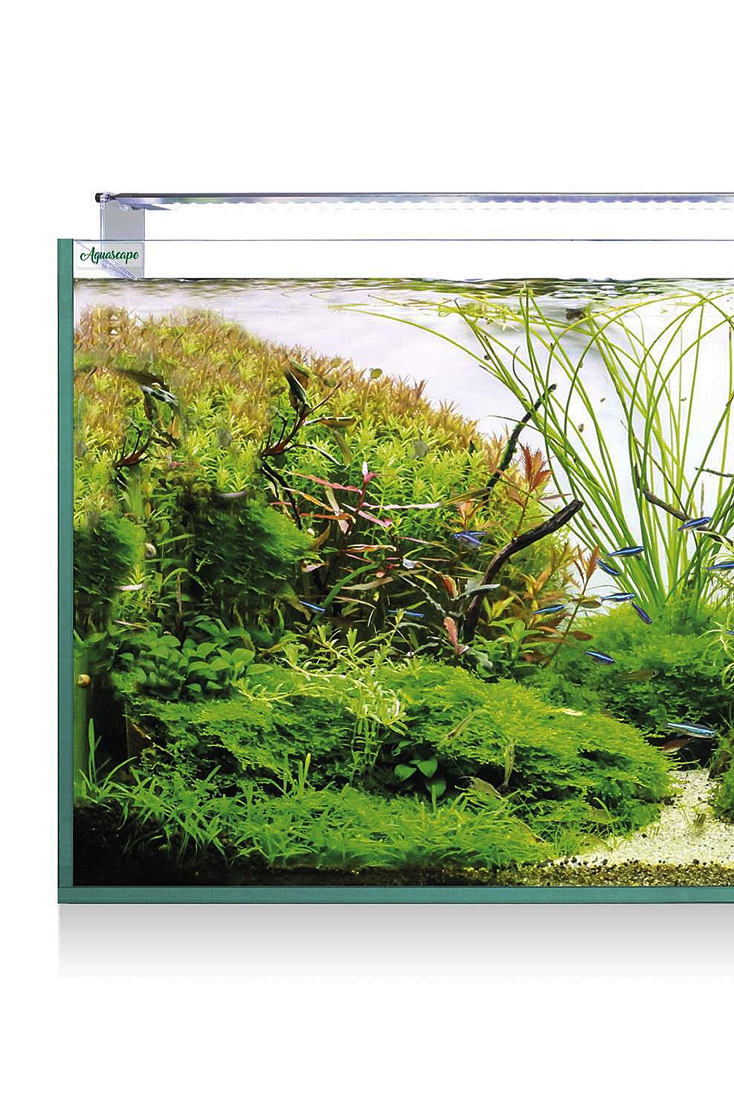 Acuario Kit AquaScape RGB PRO Extra Claro 250 de 226 litros
