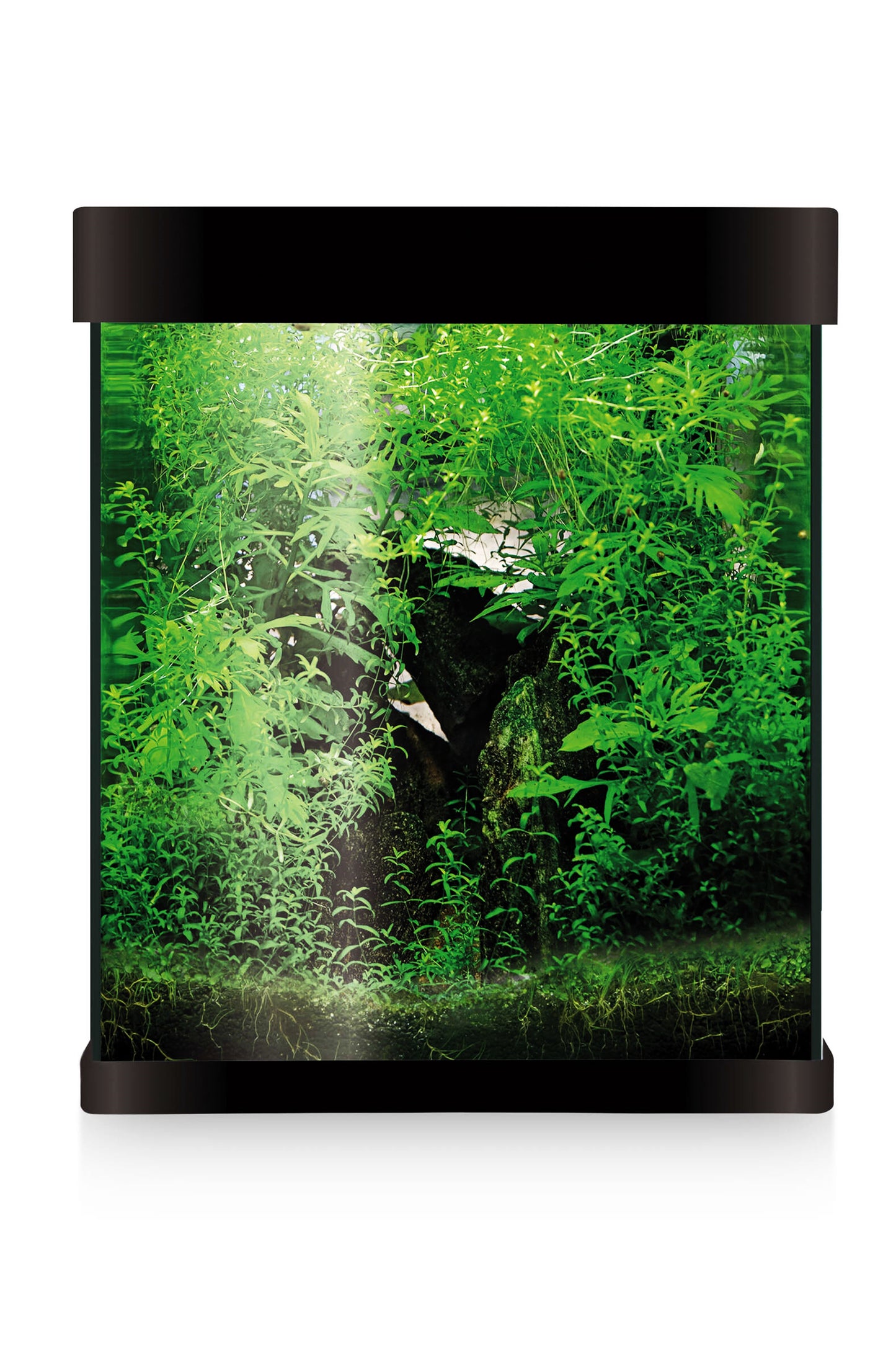 Acuario Kit Nano AquaLED Crystal 20 de 20 litros en Negro