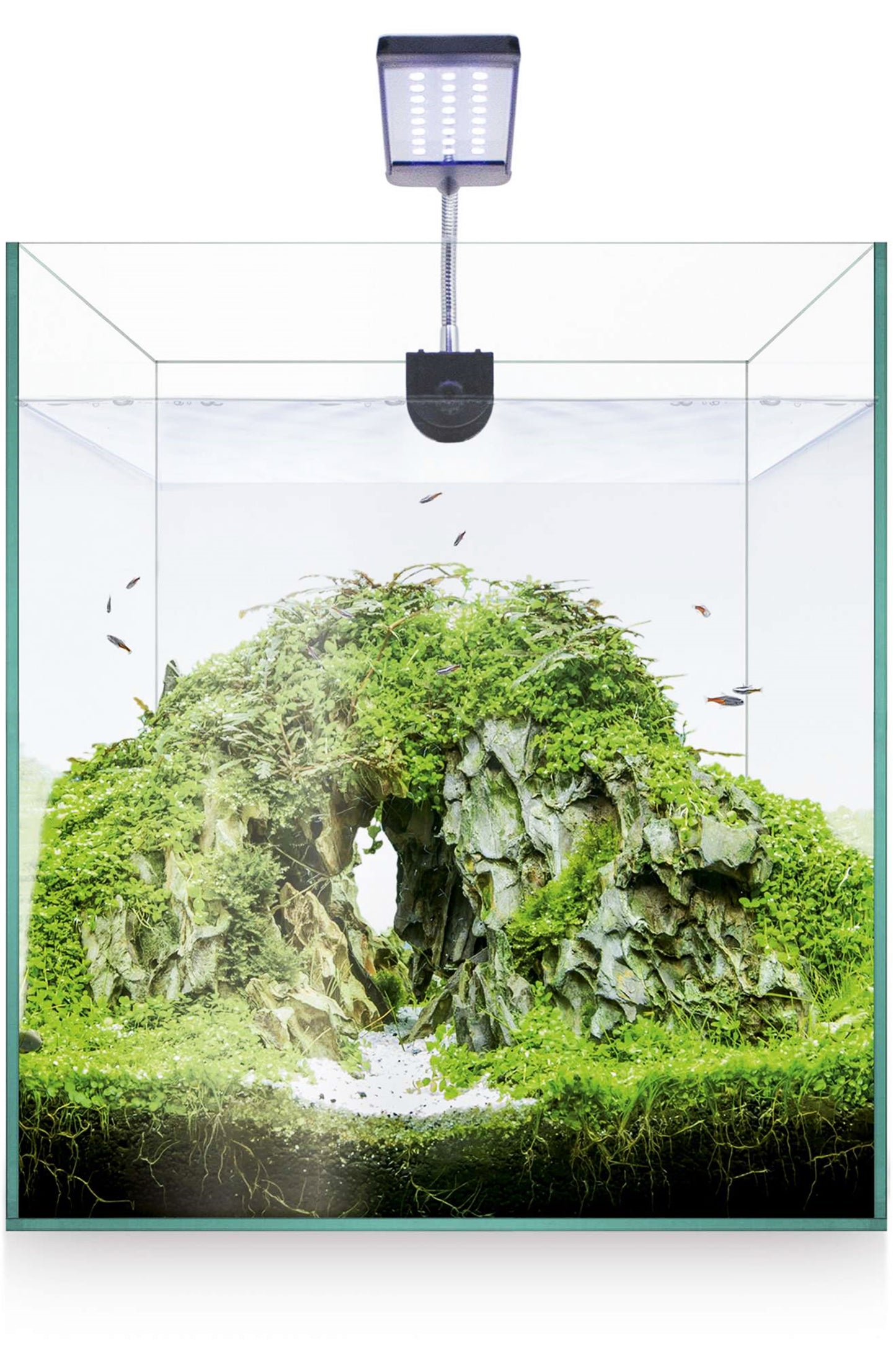 Acuario Kit Nano AquaScape RGB 20 de 20 litros