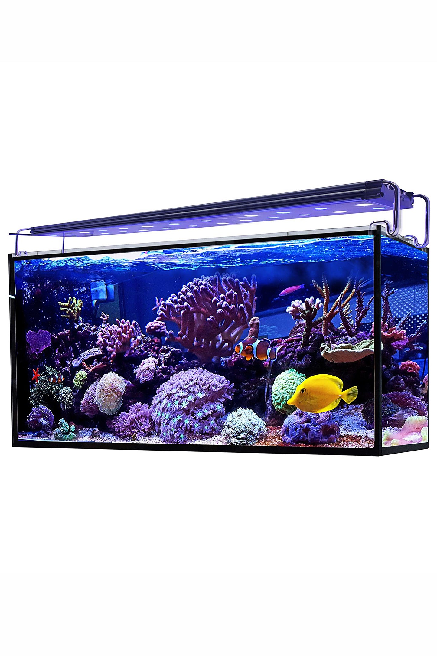 Acuario Marino AquaOcean Hydra 240 litros