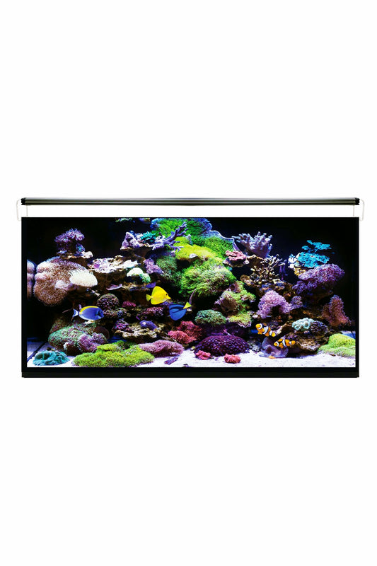 Acuario Marino AquaOcean Hydra 240 litros