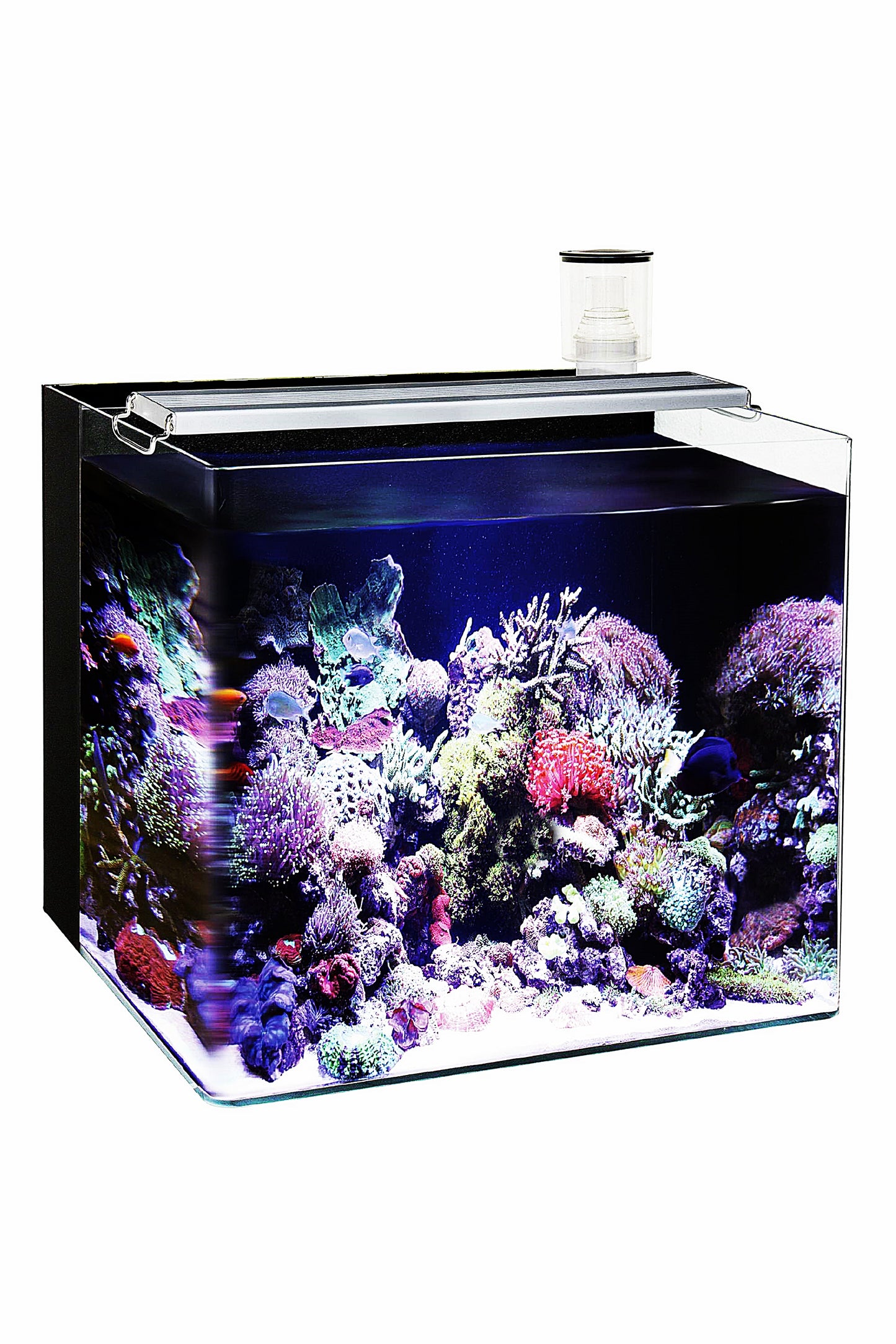 Acuario Marino - Nano OceanFree de 96 litros