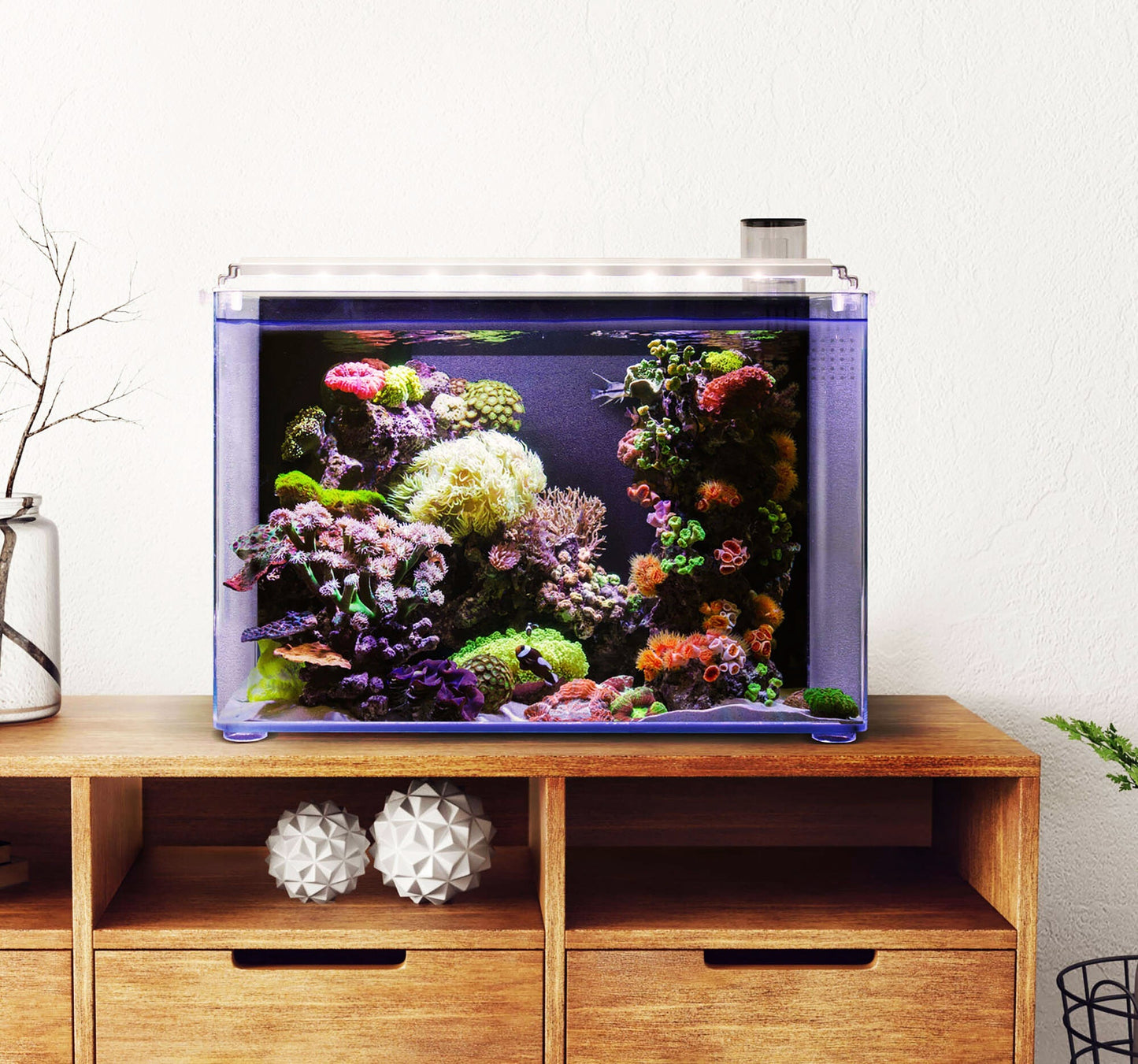 Acuario Marino - Nano OceanFree de 96 litros
