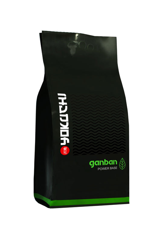 Yokuchi Ganban Power Base - 2L