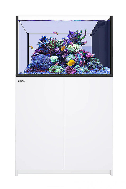 Acuario REEFER™ Península 350 Blanco 2 x Reef Led 90W SOPORTE TECHO LED ReefClean300