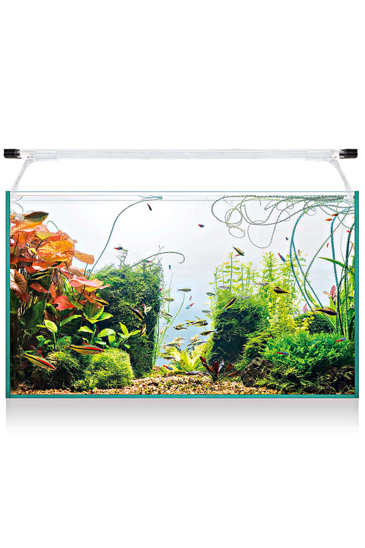 Acuario Kit AquaLight Glass 60 de 52 litros
