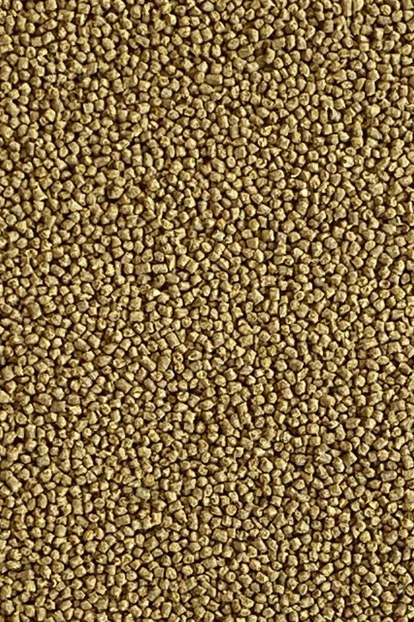 Mini pellets para peces tropicales INSECT SUPERFOOD de 100 ml