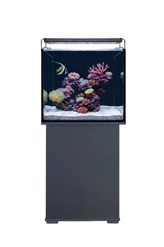 Acuario marino AquaOcean de 164 litros con mueble en Gris/Negro