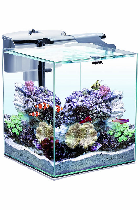 AQUAEL - Nano Reef DUO 35 de 49 litros