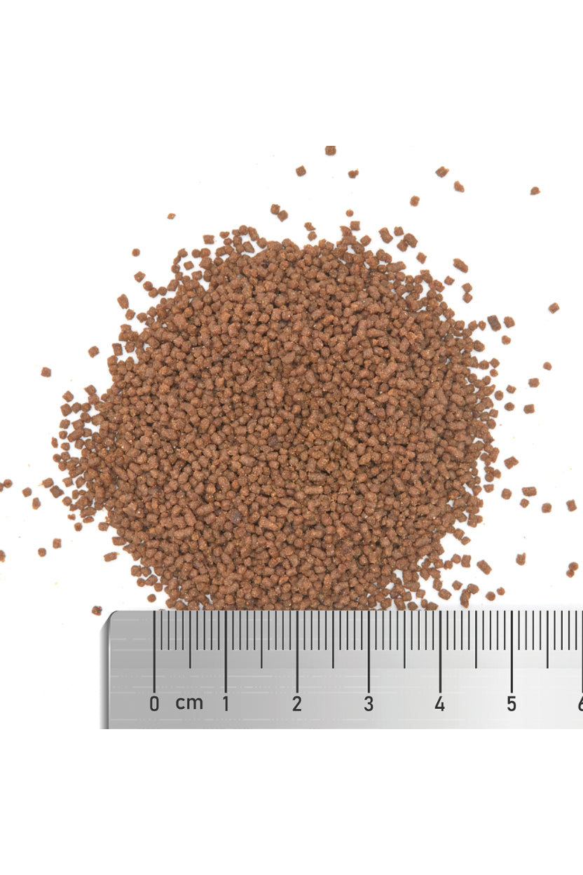 Fauna Marin - Ultra LPS Grow & Color "M" 60 gr.