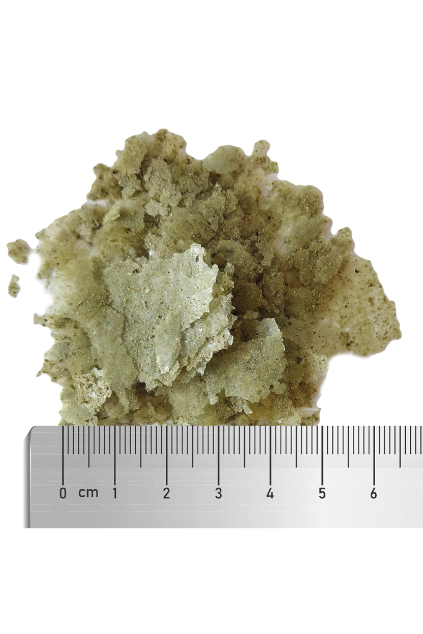 Fauna Marin - Veggie Flakes 30 gr.