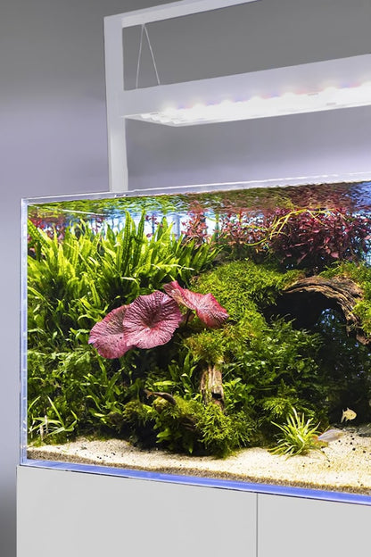 AQUAEL - Ultrascape 90 Snow Set - Acuario de 243 litros con mueble