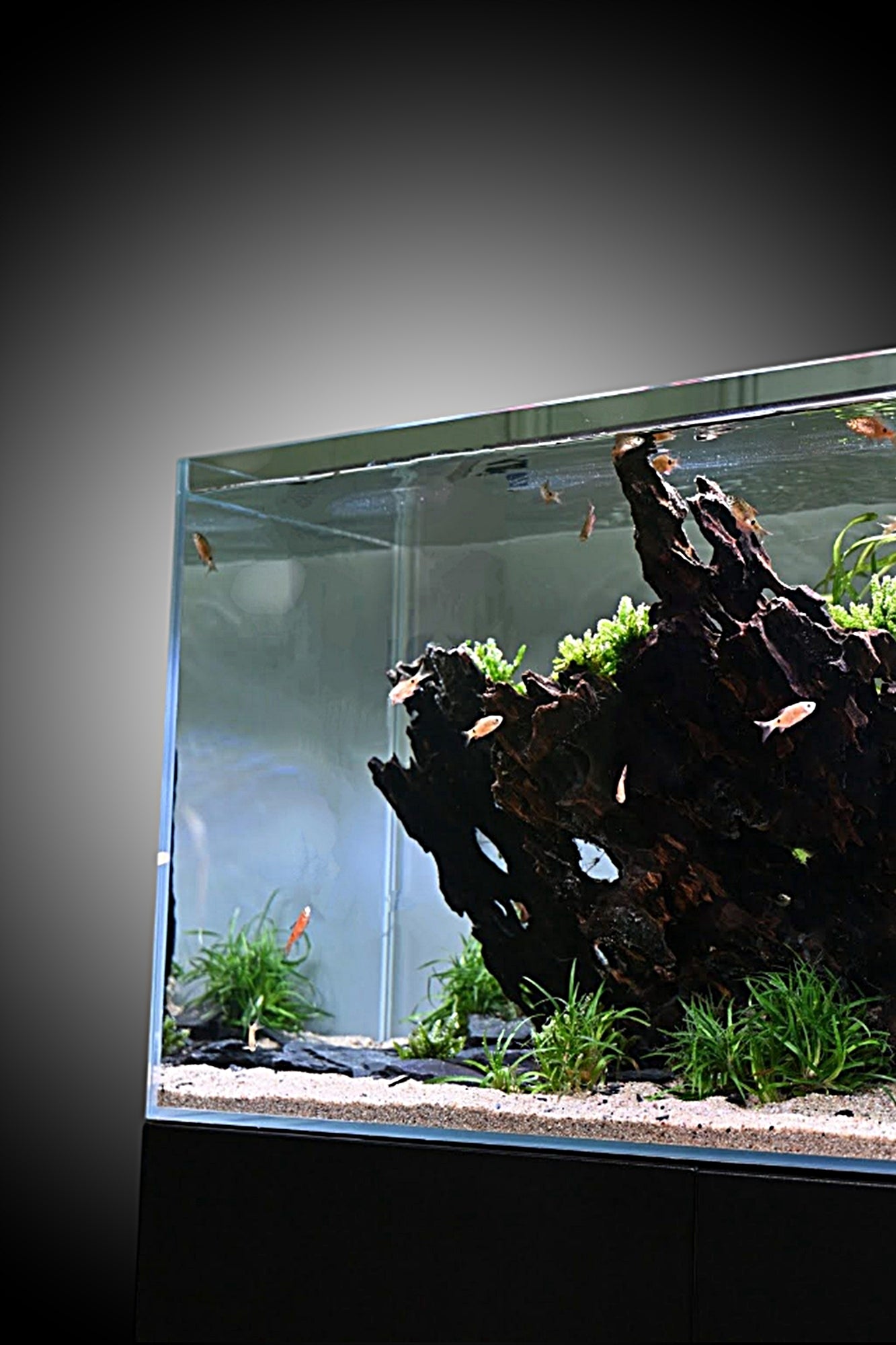 AQUAEL - Opti Tank 100 de 200 litros