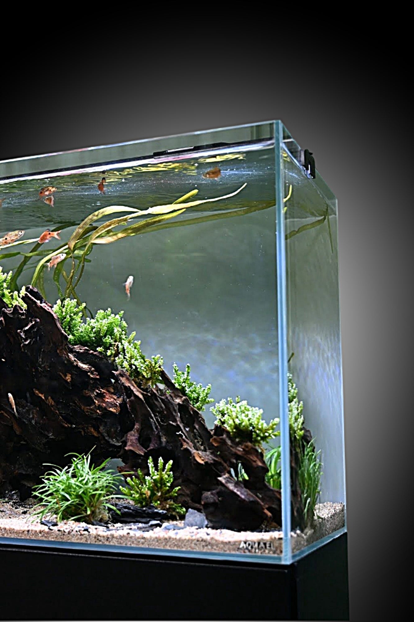 AQUAEL - Opti Tank 100 de 200 litros