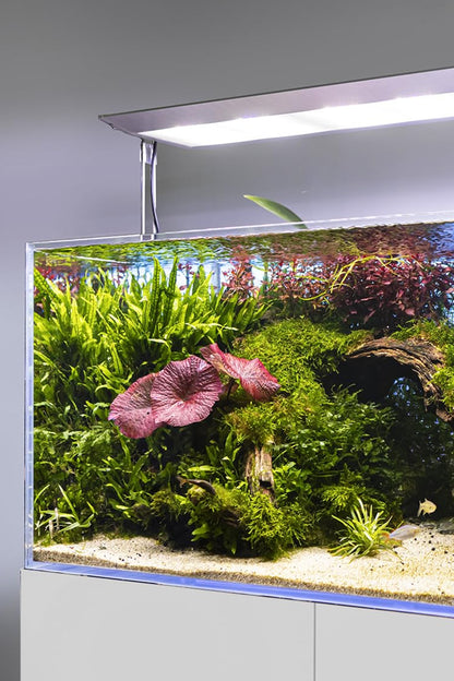 Acuario DIAMOND de 243 litros con mueble Blanco