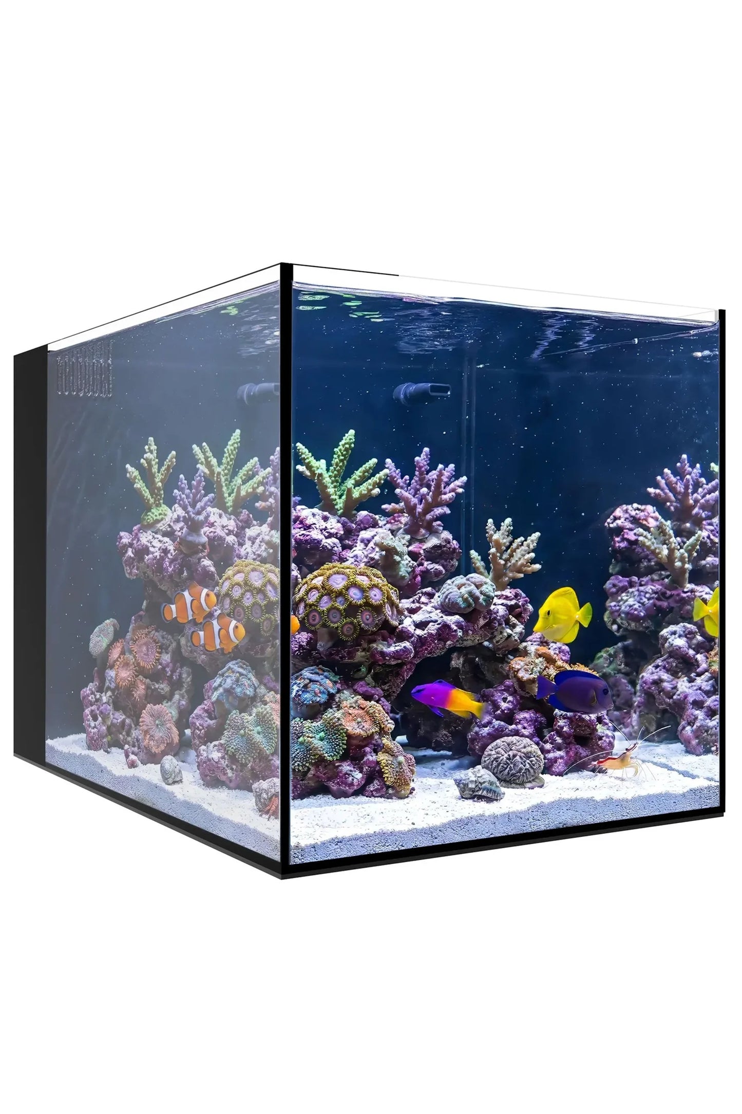 WATERBOX - Nuevo Acuario AIO 25 PENINSULA con mueble Blanco de 90 litros