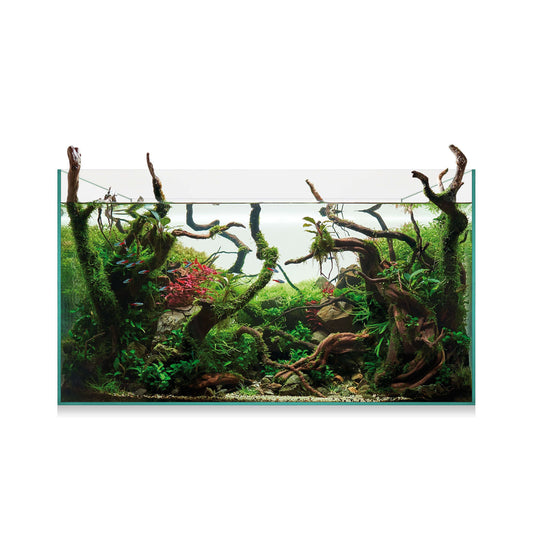 AquaScape 145 - Urna de cristal óptico de 143 litros