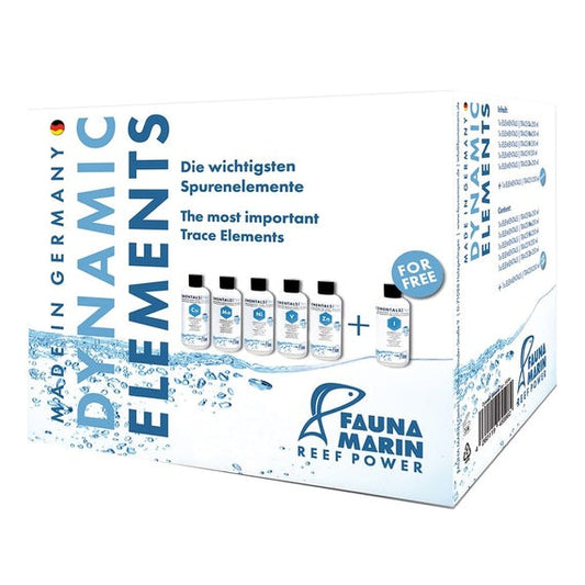 Fauna Marin - Dynamic Elemements