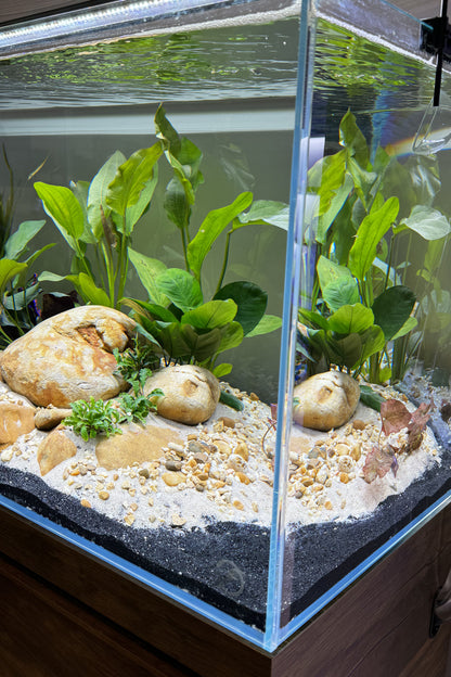 Nuevo acuario Fluval VISI-WHITE 45P de 40 litros - Urna de cristal óptico