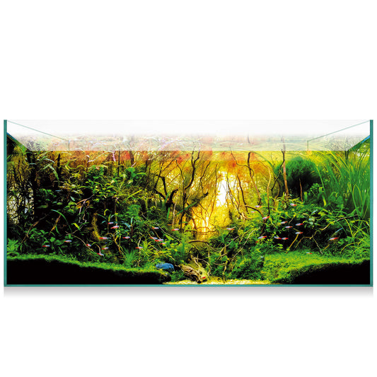 Kit AquaScape 180 de 179 litros