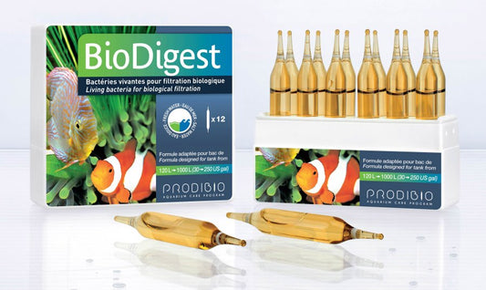 PRODIBIO - BIO Digest 12 Amp.