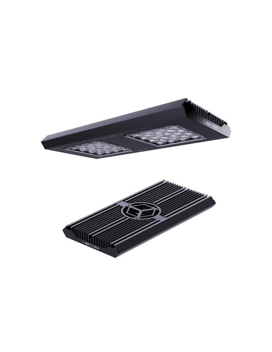 REEF FLARE - Reef Flare PRO "M" (Negra) - New Model