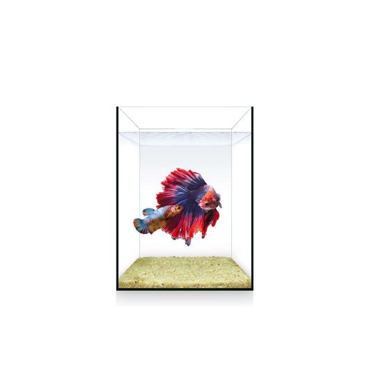Urna NANO Nature de 4 litros
