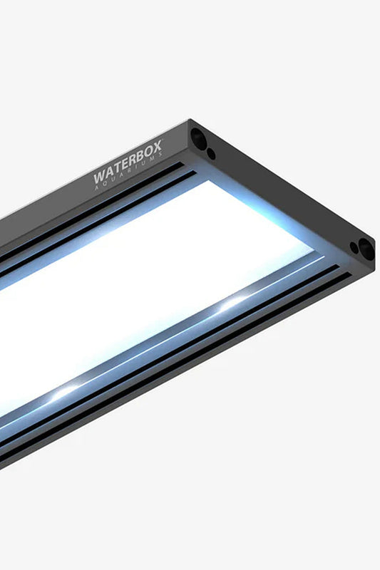 WATERBOX - Pantalla FLED 46 de 84 LEDs