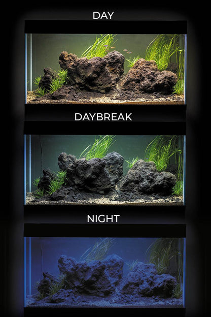 Acuario Optiset 200 litros con mueble Negro