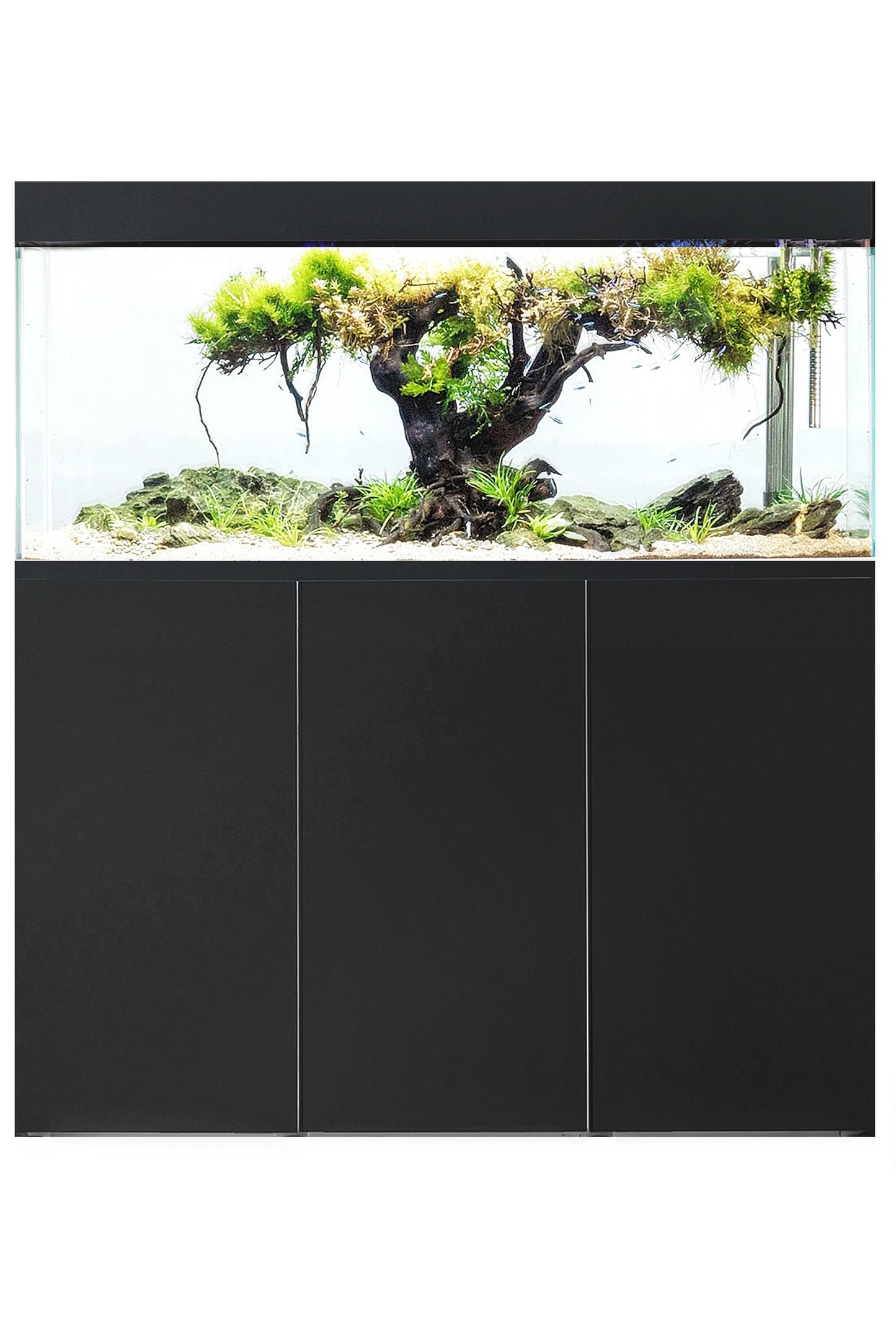 AQUAEL - Acuario con mueble Optiset 240 litros - Negro