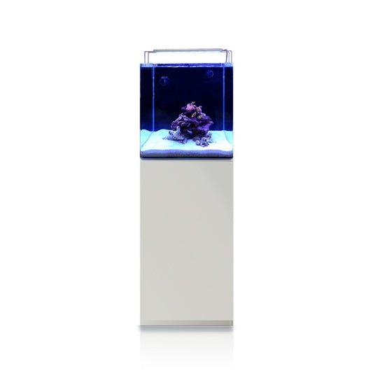 Acuario SET OPEN REEF EXPERIENCE Blanco